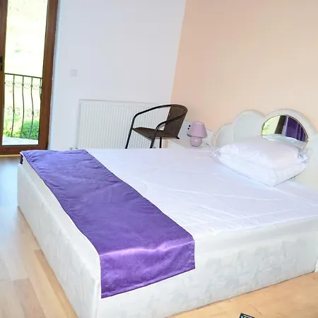 Casa Cora Villa Bazna